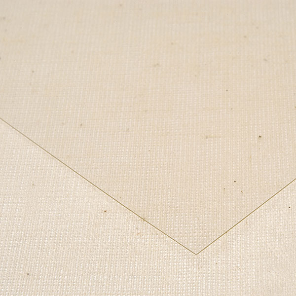 Copystat Laserprint Acetate Intaglio Printmaker