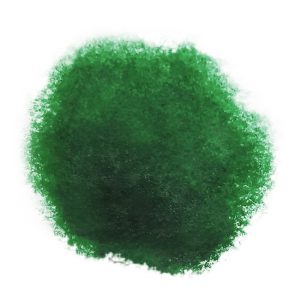 Akua Intaglio Oxide Green