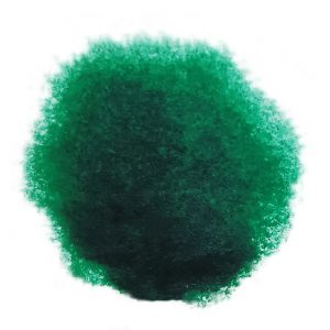 Caligo Safe Wash Relief Ink Phthalo Green