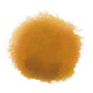 Caligo Safe Wash Relief Ink Yellow Ochre