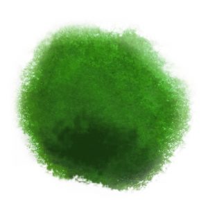 Charbonnel Etching Ink Medium Green