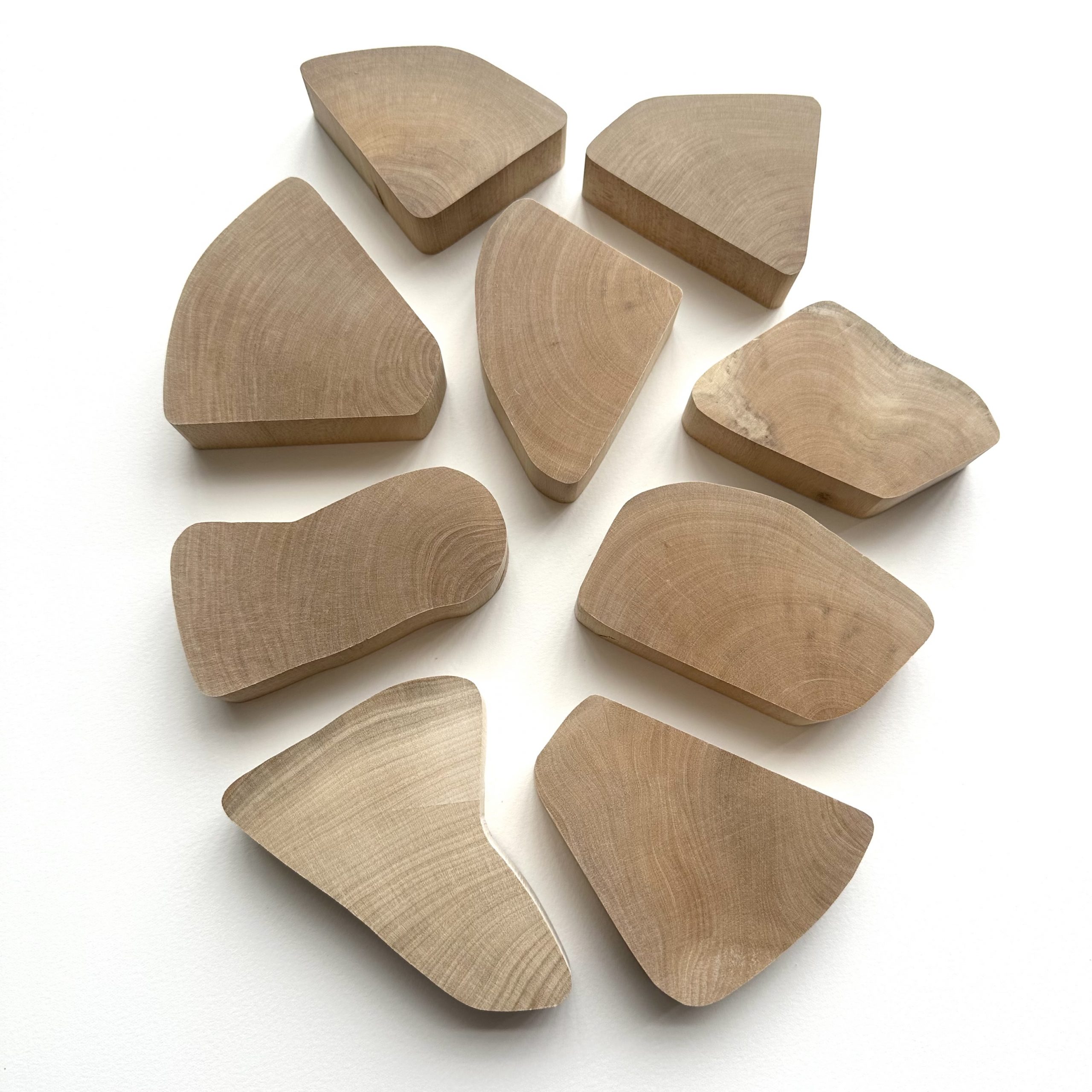 Holly Wood Shapes