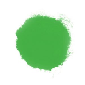 Permaset Aqua Standard Ink Mid Green