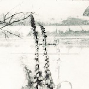 Intaglio Printmaker Prize Winner: Linda Kosciewicz