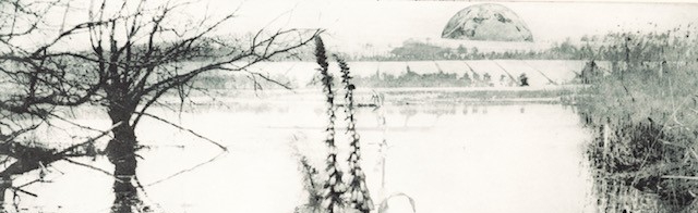 You are currently viewing Intaglio Printmaker Prize Winner: Linda Kosciewicz