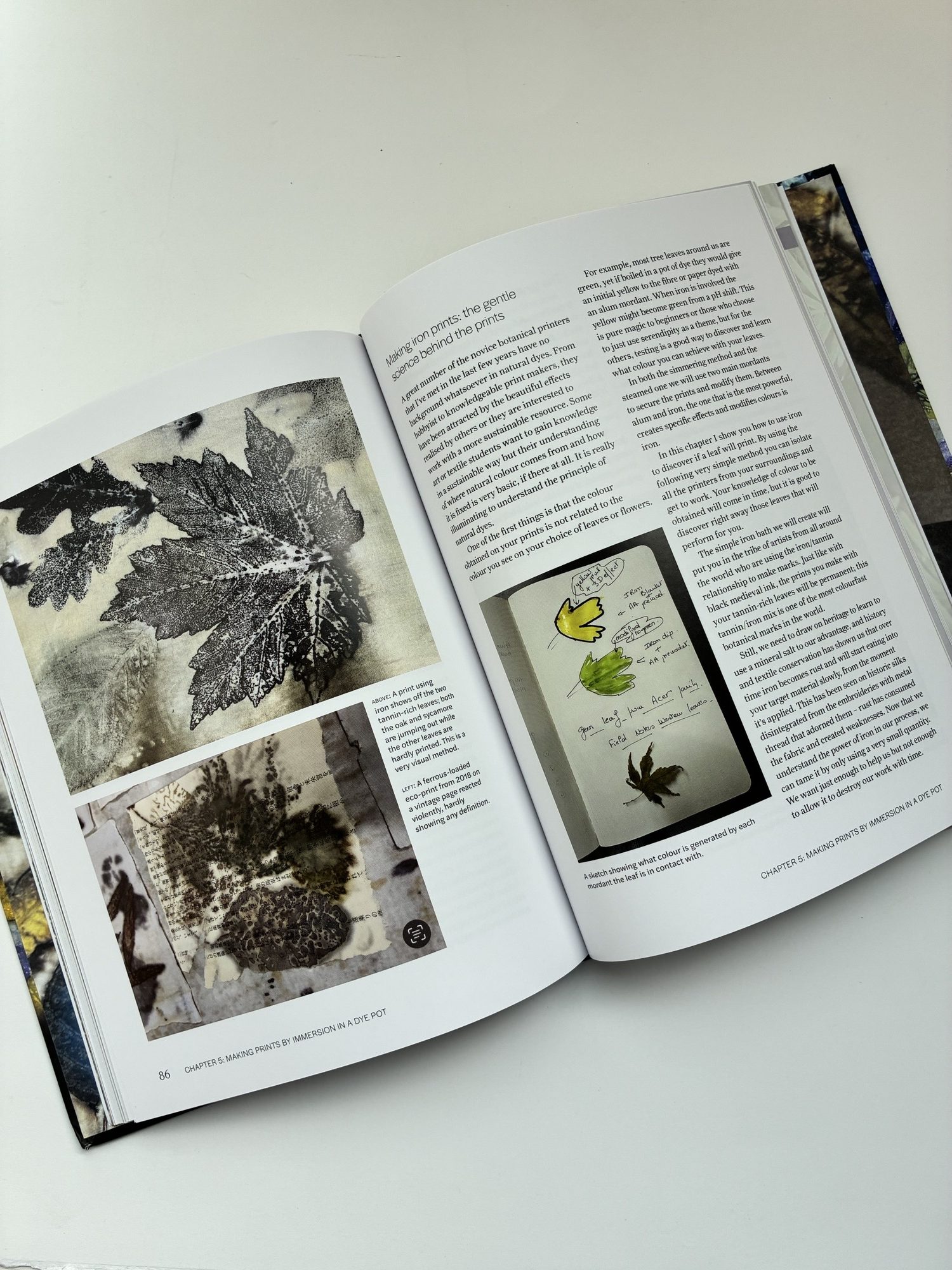 Botanical Printing on Paper - Image 3