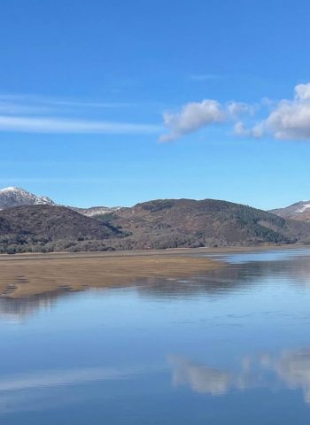 70015818616__BBC88123-9AFB-4A64-B1ED-D25A21215630.fullsizerender