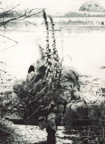 still life with eve and diana